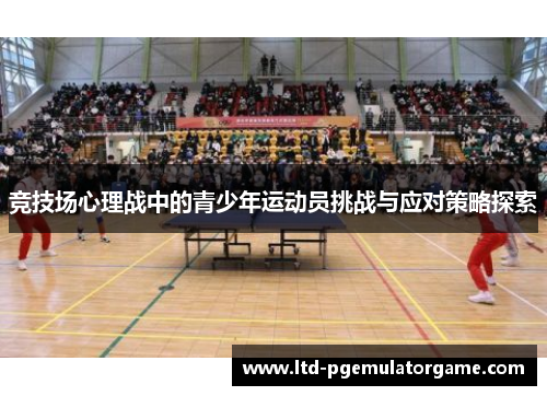 竞技场心理战中的青少年运动员挑战与应对策略探索