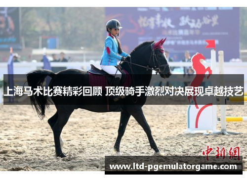 上海马术比赛精彩回顾 顶级骑手激烈对决展现卓越技艺