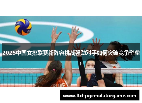 2025中国女排联赛新阵容挑战强劲对手如何突破竞争壁垒