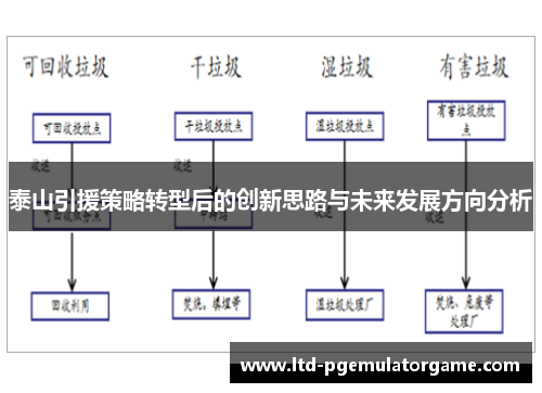 泰山引援策略转型后的创新思路与未来发展方向分析