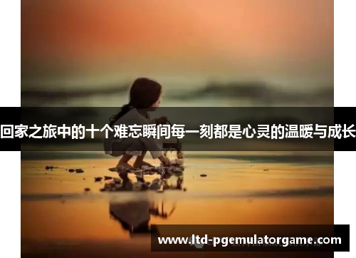 回家之旅中的十个难忘瞬间每一刻都是心灵的温暖与成长