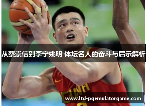 从蔡崇信到李宁姚明 体坛名人的奋斗与启示解析