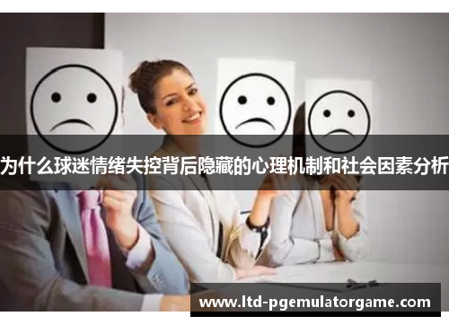 为什么球迷情绪失控背后隐藏的心理机制和社会因素分析