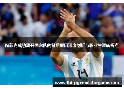 陶菲克成功离开国家队的背后原因深度剖析与职业生涯转折点