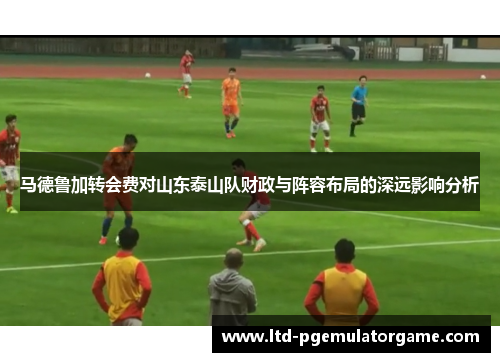 马德鲁加转会费对山东泰山队财政与阵容布局的深远影响分析