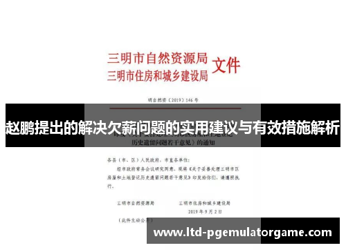赵鹏提出的解决欠薪问题的实用建议与有效措施解析
