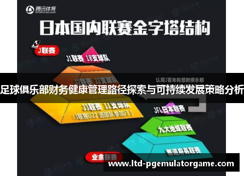 足球俱乐部财务健康管理路径探索与可持续发展策略分析