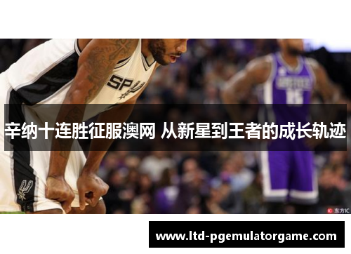 辛纳十连胜征服澳网 从新星到王者的成长轨迹