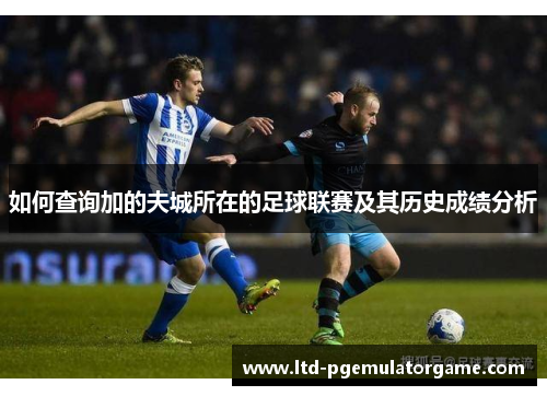 如何查询加的夫城所在的足球联赛及其历史成绩分析 如何查询加的夫城所在的足球联赛及其历史成绩分析