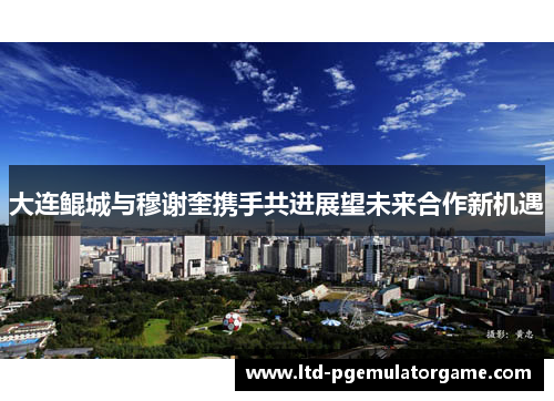 大连鲲城与穆谢奎携手共进展望未来合作新机遇