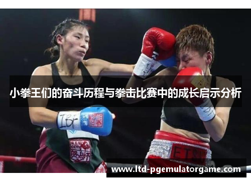小拳王们的奋斗历程与拳击比赛中的成长启示分析