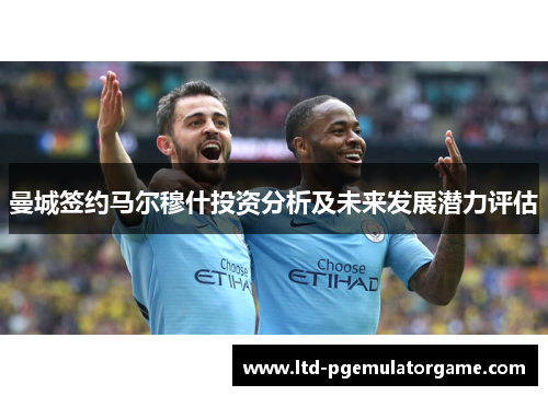曼城签约马尔穆什投资分析及未来发展潜力评估