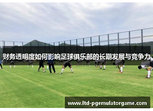 财务透明度如何影响足球俱乐部的长期发展与竞争力